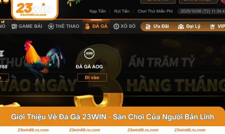 Khoảnh khắc hai chiến kê tung cú đá quyết định 