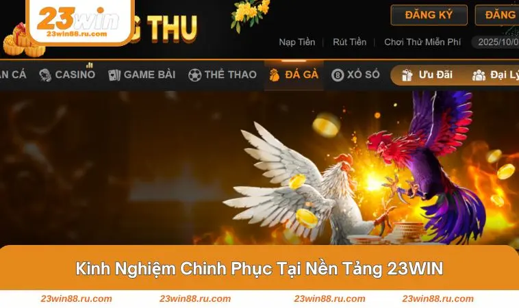 Người chơi tập trung theo dõi trận đấu trên nền tảng 23WIN 