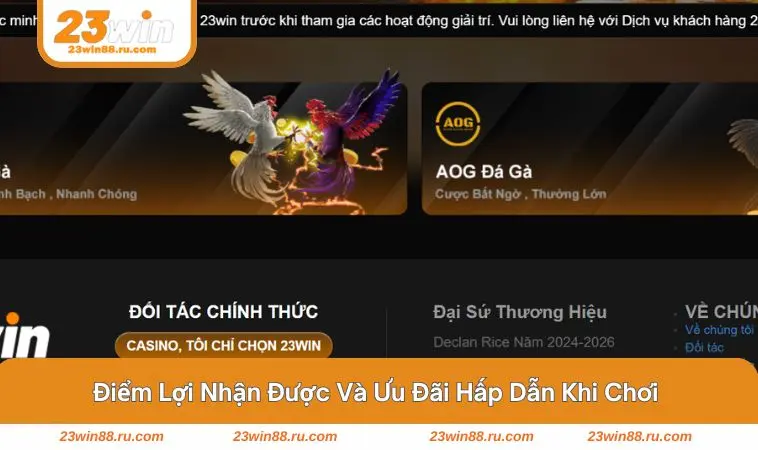 Không khí sôi động tại đấu trường trực tuyến 