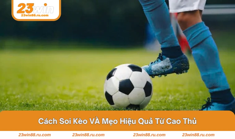 Kèo 0-0.5 Là Gì? Đọc Và Phân Tích Chính Xác Nhất Cho Bạn Mới 3 Mẹo soi kèo và đặt cược hiệu quả giúp bạn thắng cực đỉnh