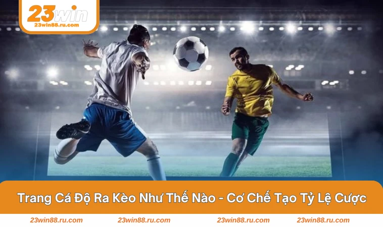 Trang Cá Độ Ra Kèo Như Thế Nào - Hé Lộ Quy Trình Phía Sau 1 Mô phỏng quy trình nhà cái phân tích và điều chỉnh kèo