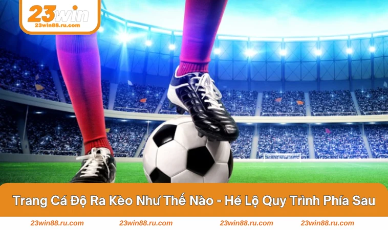 trang cá độ ra kèo như thế nào